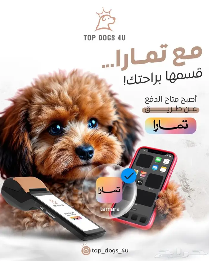 مؤسسه استيراد 0