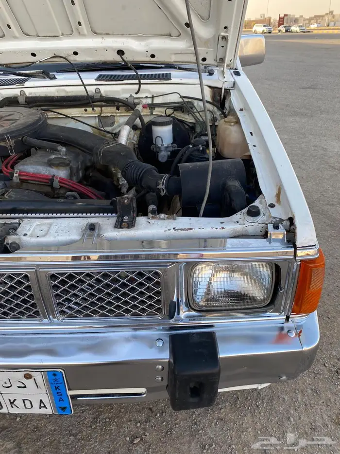 ددسن 91 جل 39
