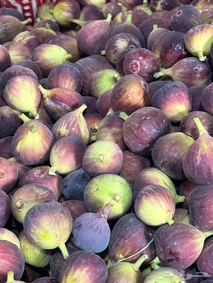 تين طازج من المزرعه 2