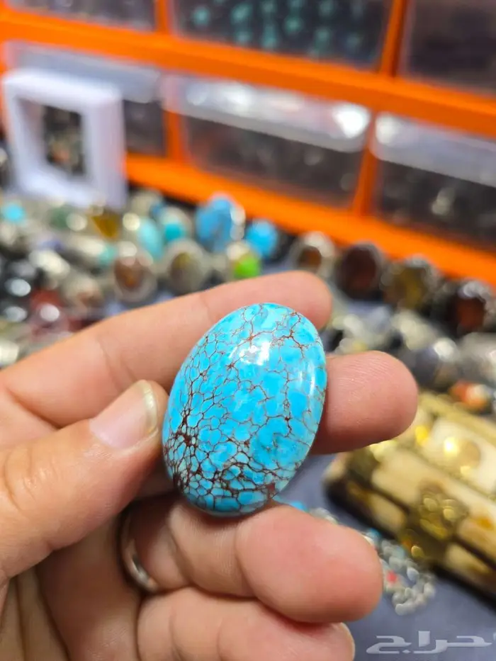 فيروز سيناوي ماشاءالله تبارك الرحمن 0