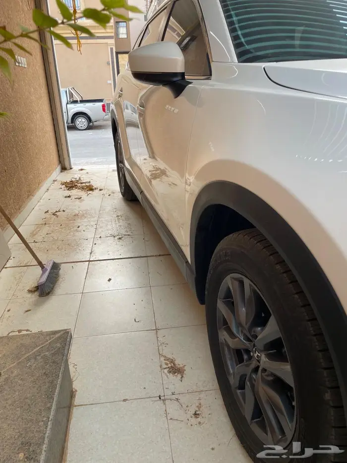 الخرج 8