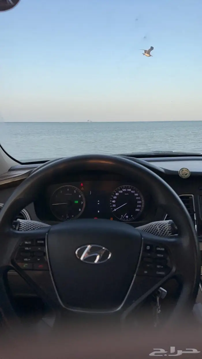 كداد من ينبع لجده ركاب رسايل حياك 0