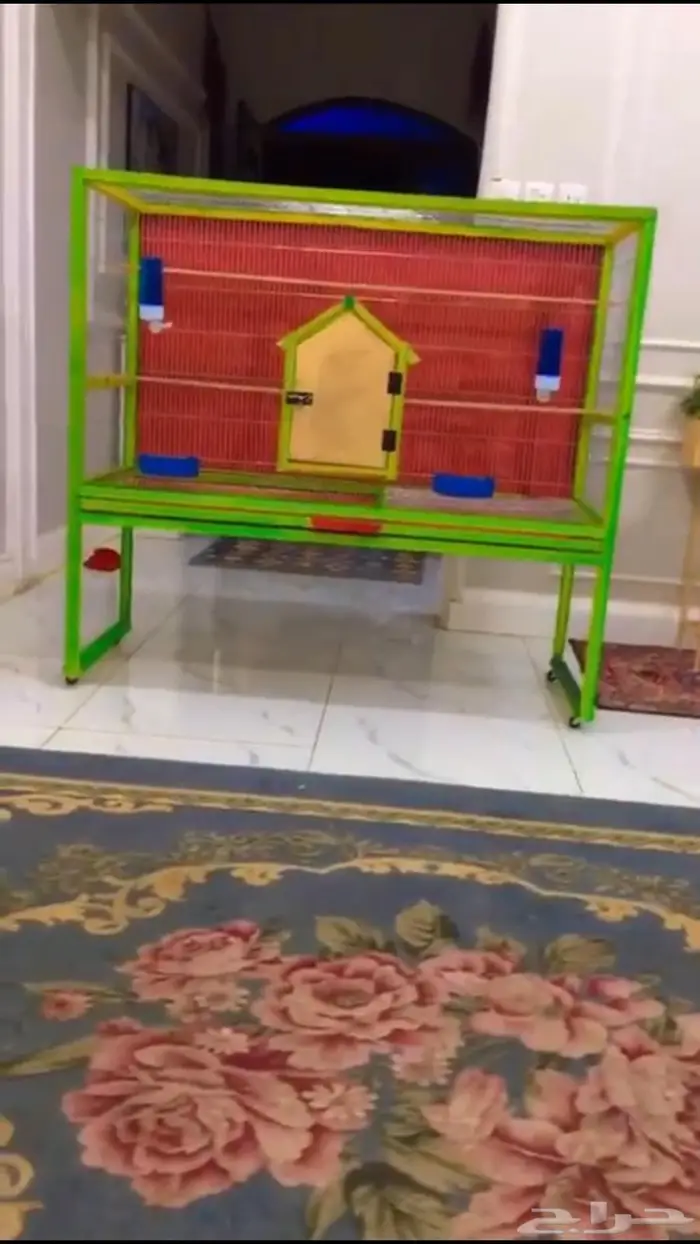 قفص مطير 1