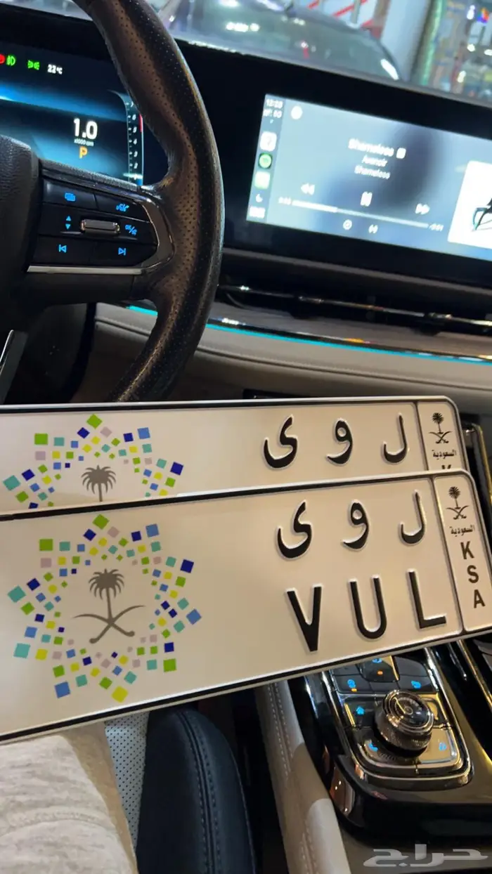 لوحة للبيع 87 ل و ى (لؤي  لوا) 3