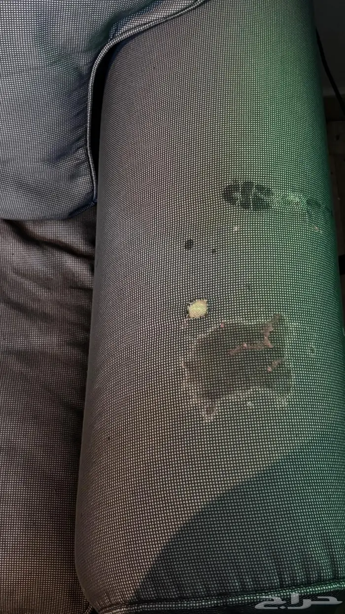 كنب وطاوله طعام بكراسي ومرايه ومدخل 5