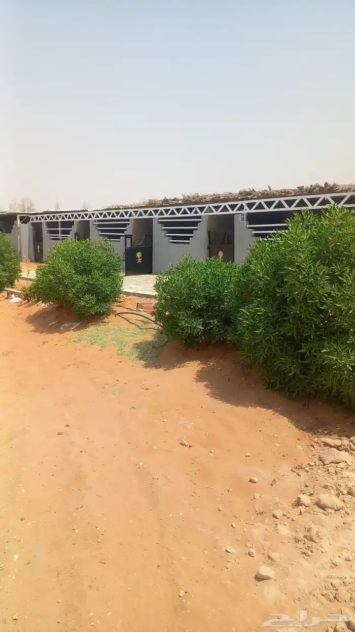 إيواء خيل 1
