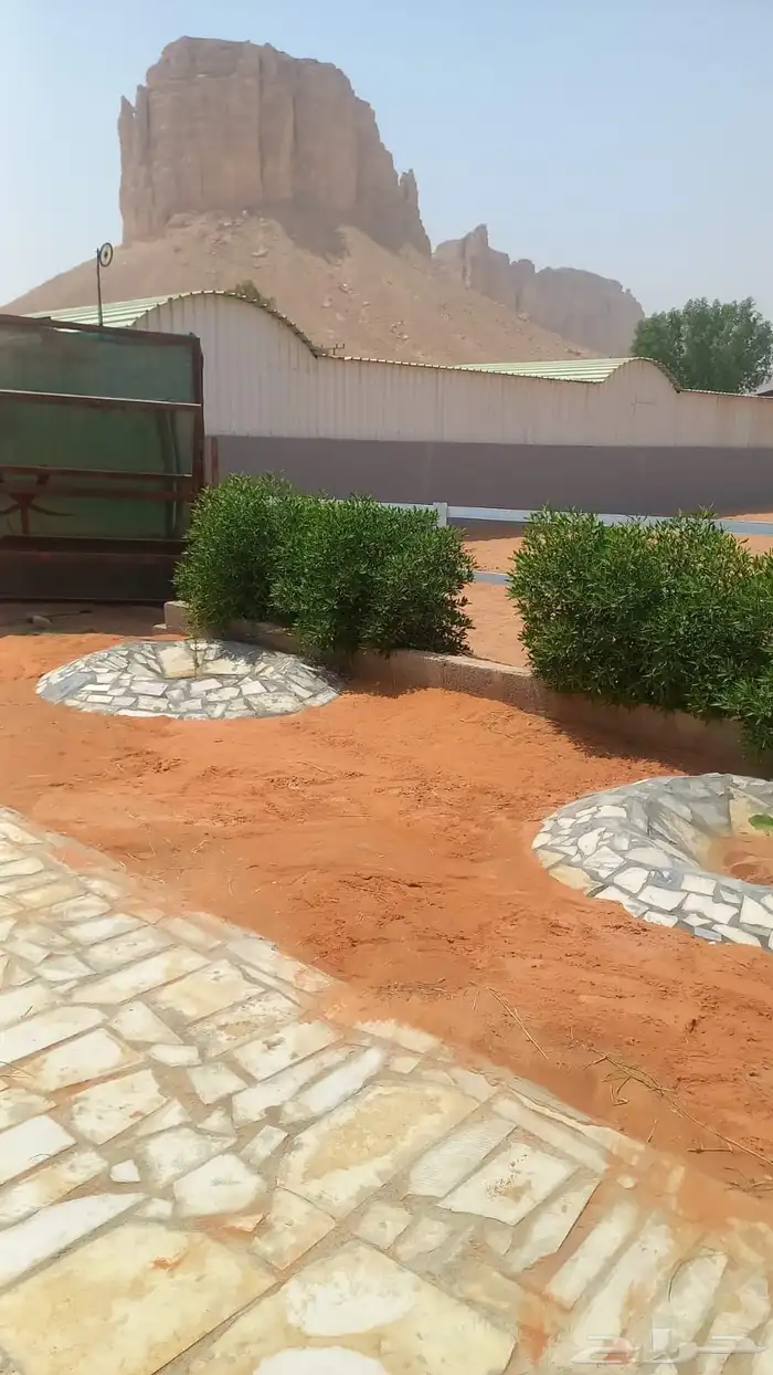 إيواء خيل 5