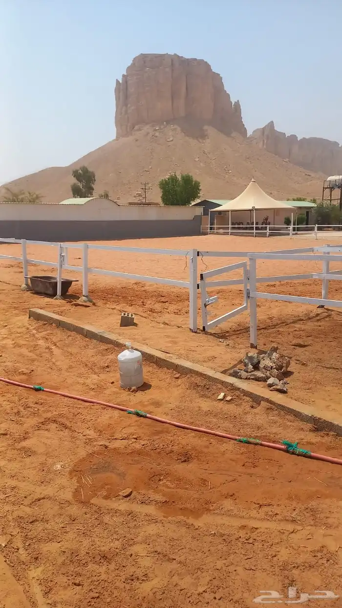 إيواء الخيل 8