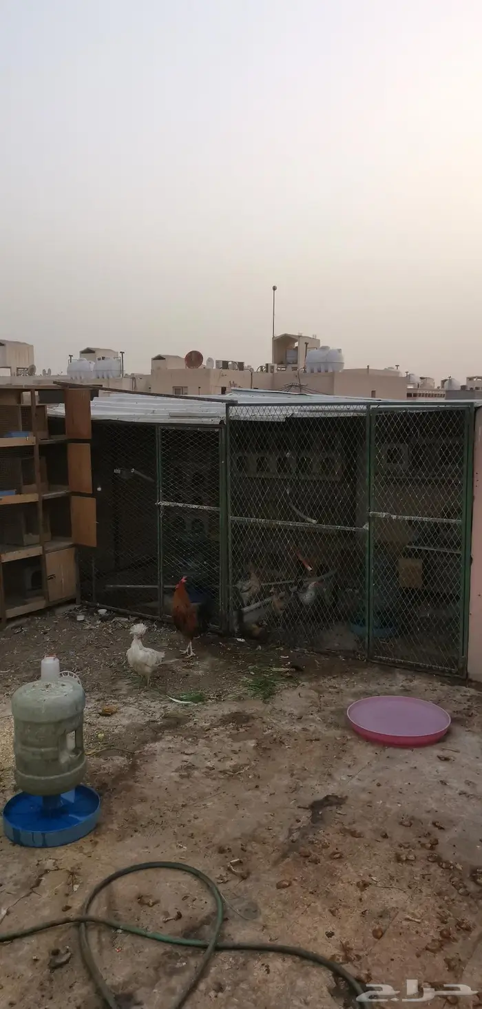 عشه حمام شبك مستعمل مع اغراضها 0