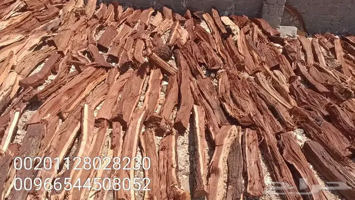 حطب افريقي مستورد 4