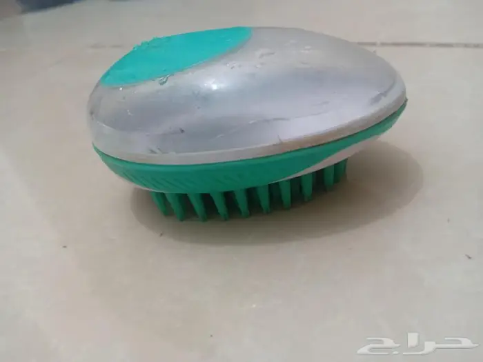 قط ذكر للتبني مع اغراض 6