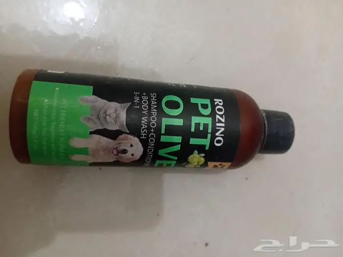 قط ذكر للتبني مع اغراض 9