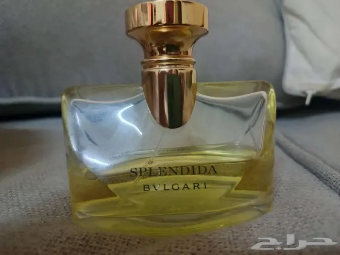SPLENDIDA BVLGARI عطر بولغاري 2