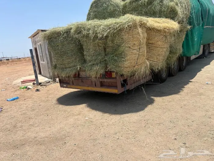 علف للبيع 2