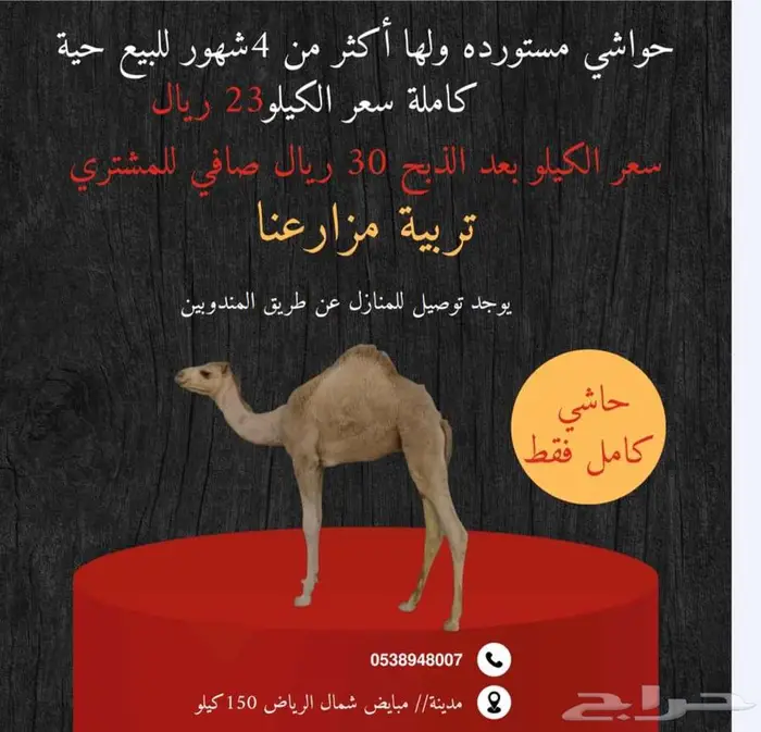 مدينة مبايض شمال الرياض 150كيلو 0