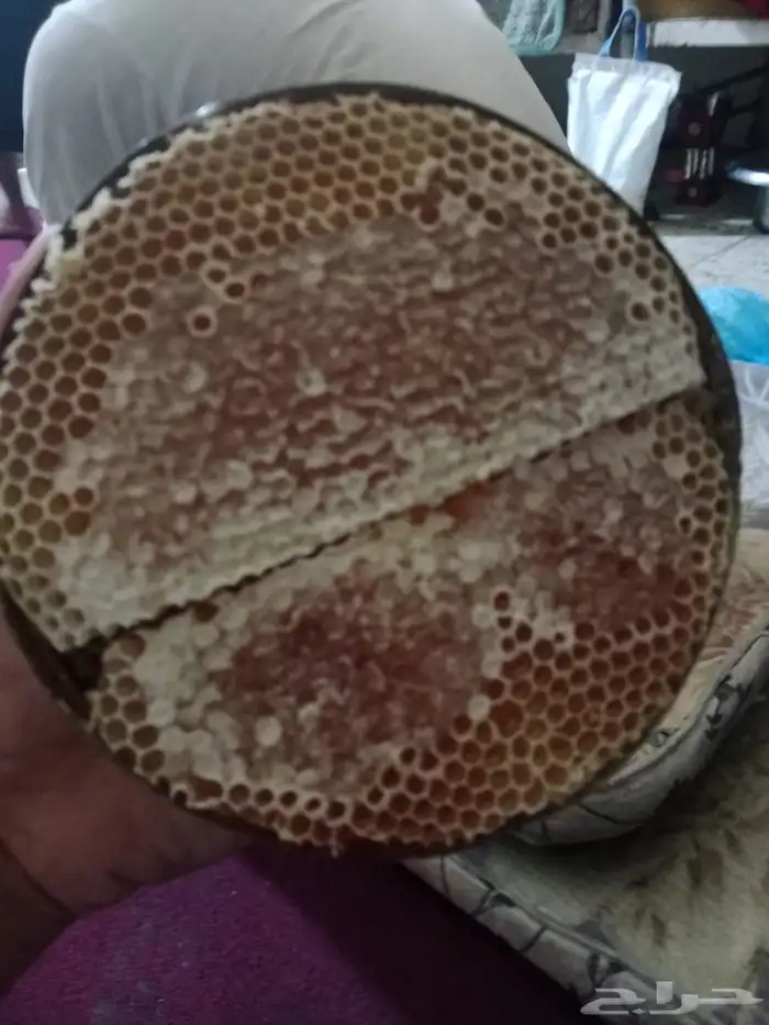عسل سدر يمني للبيع على الشرط 3