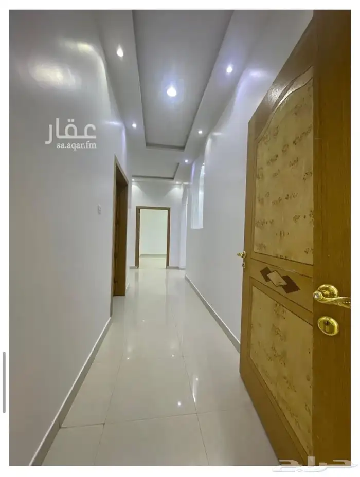 دور ارضي 8