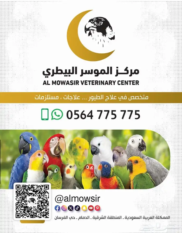 عيادة - مركز بيطري - مستشفي بيطري 1
