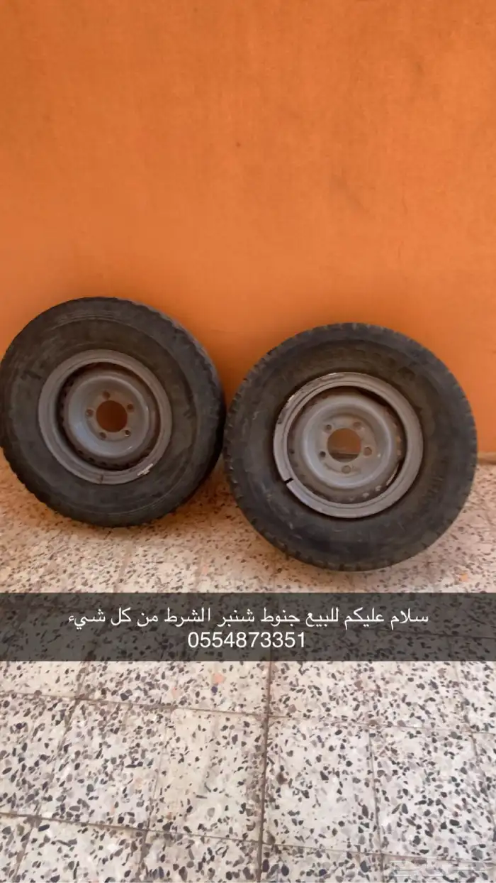 جنوط شنبر 0