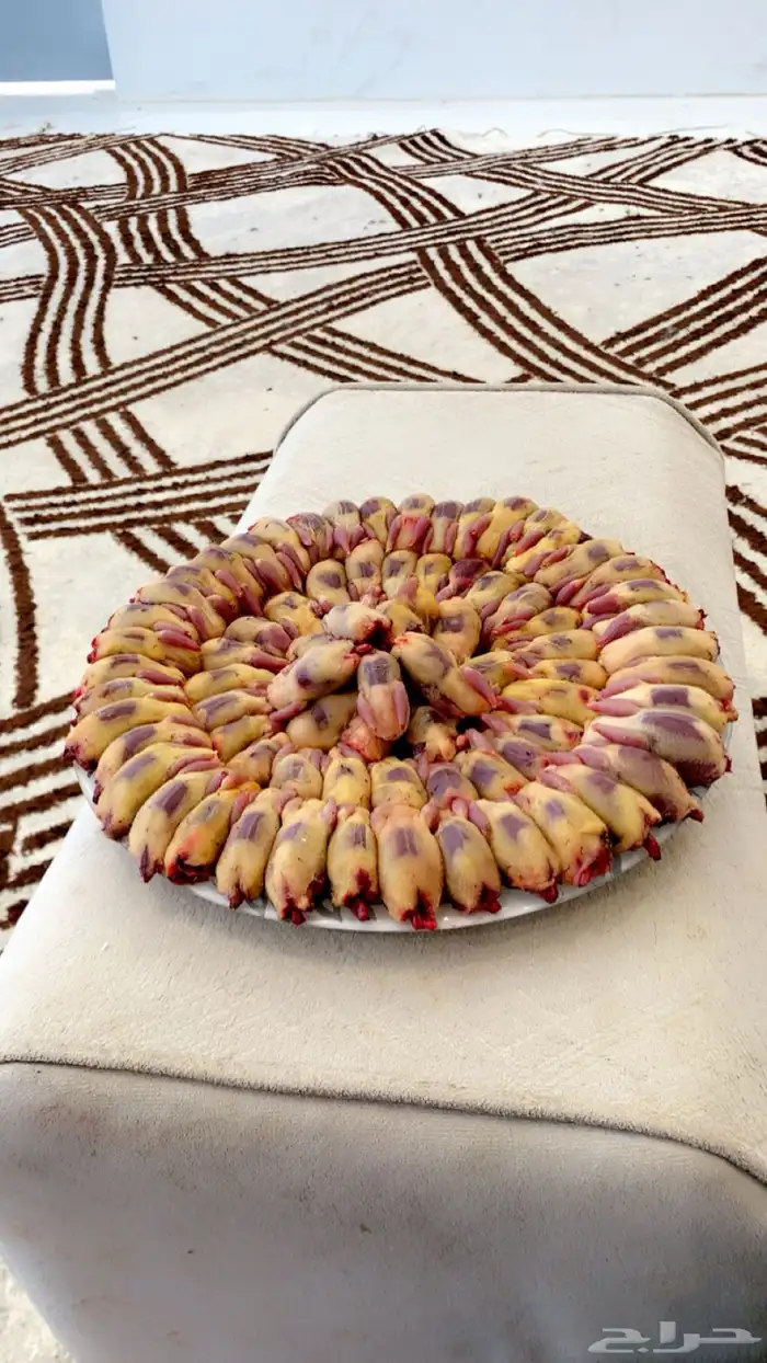 65منتوف على3 0