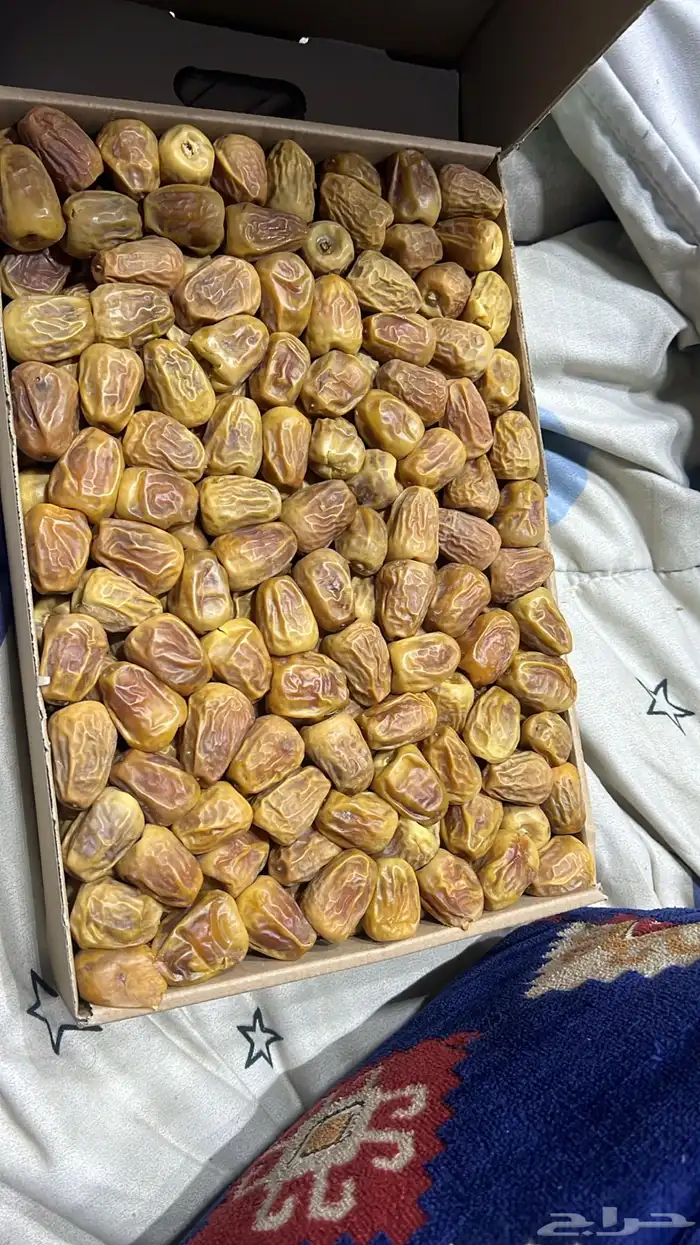 تمور القصيم فاخره 8
