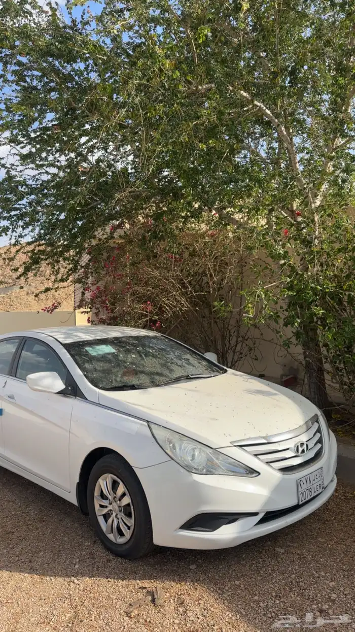 سوناتا شيخخخة شمل نضيفه 3