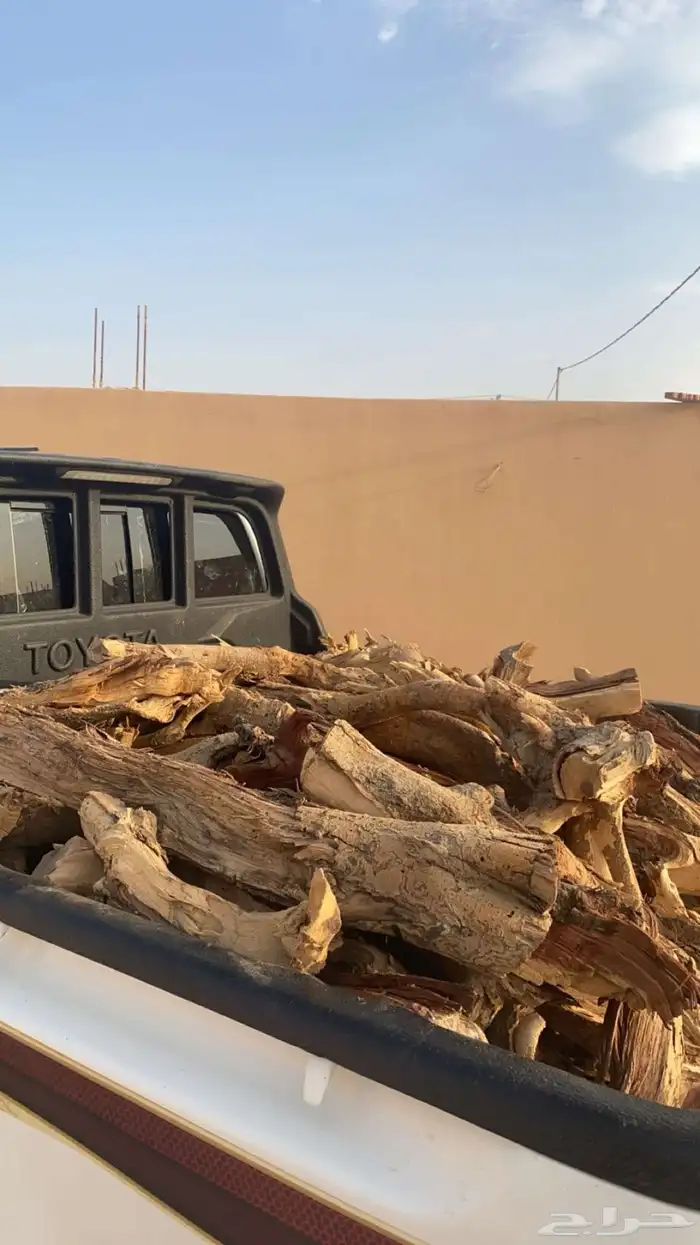 سمر شلايخ عشرط 1