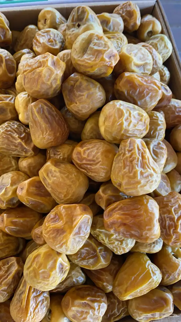 تمور فاخرة من مزارعنا 0