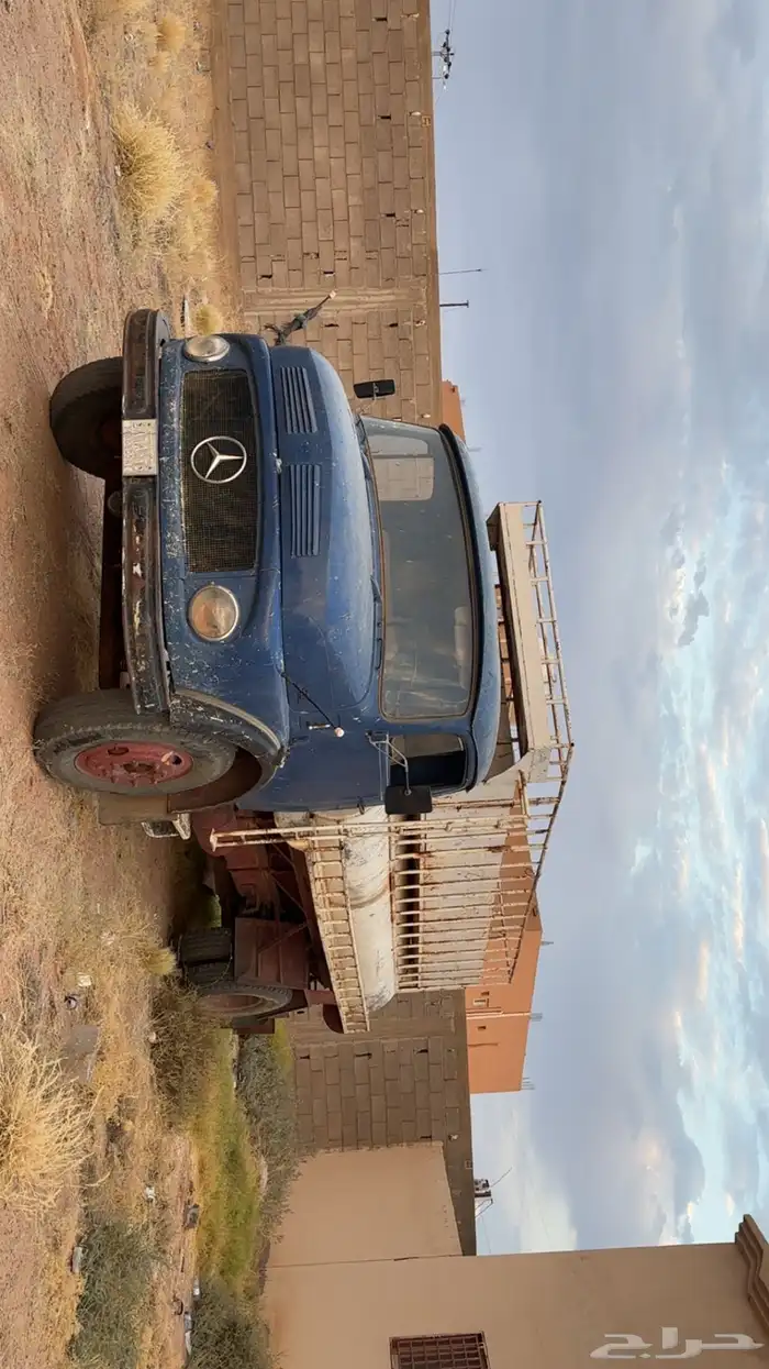 حصناني للبيع 68 0