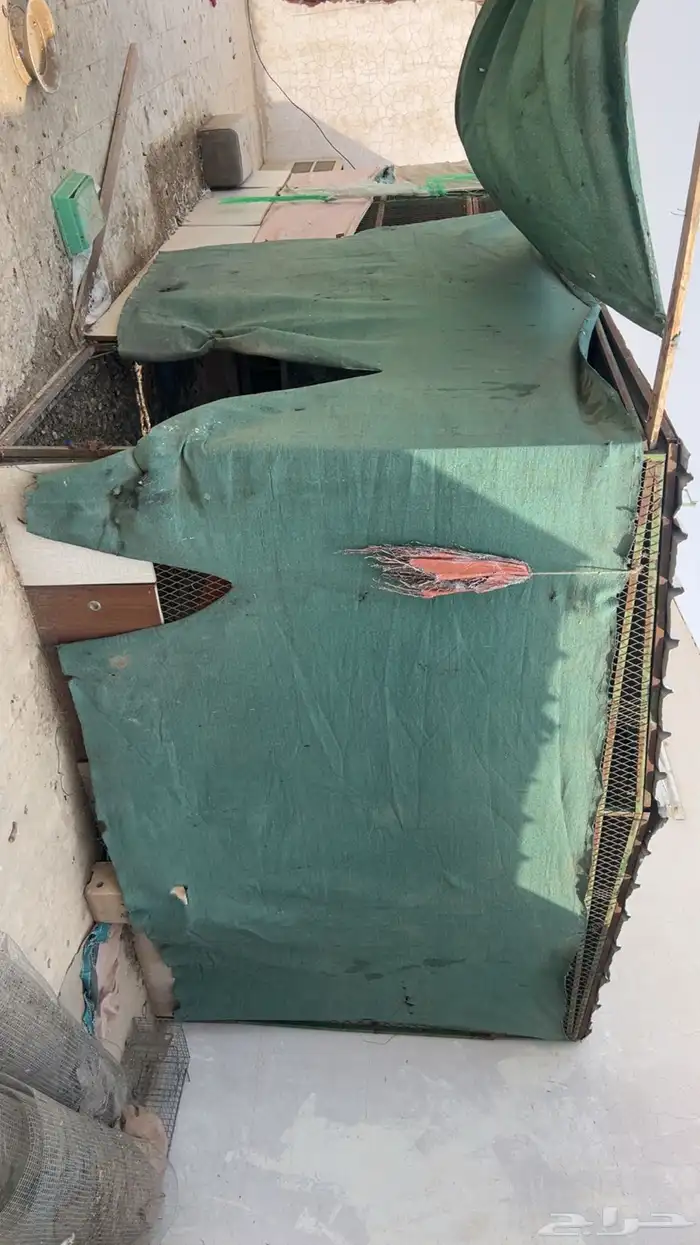 شبك حمام شبوك طيور 3