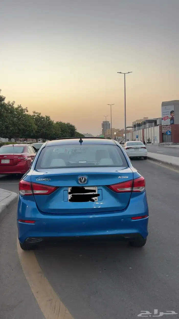 شانجان السفن للبيع 1