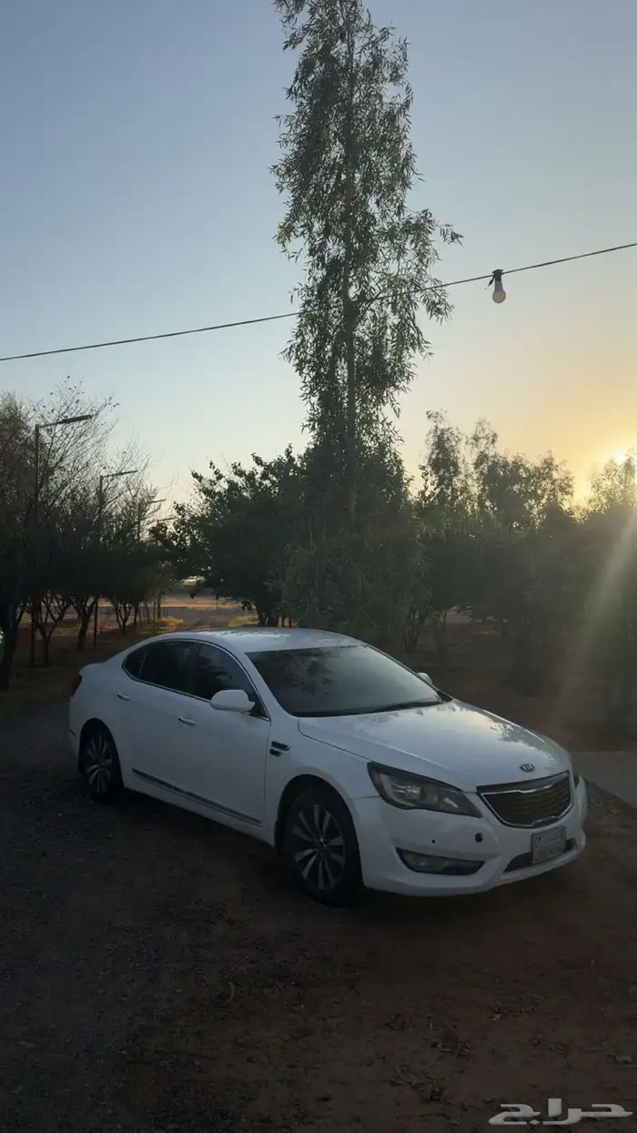 كادينزا 3