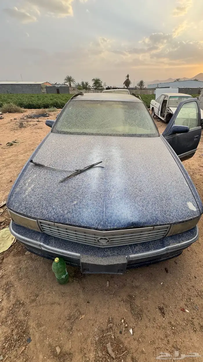 كدلك بيوك 0