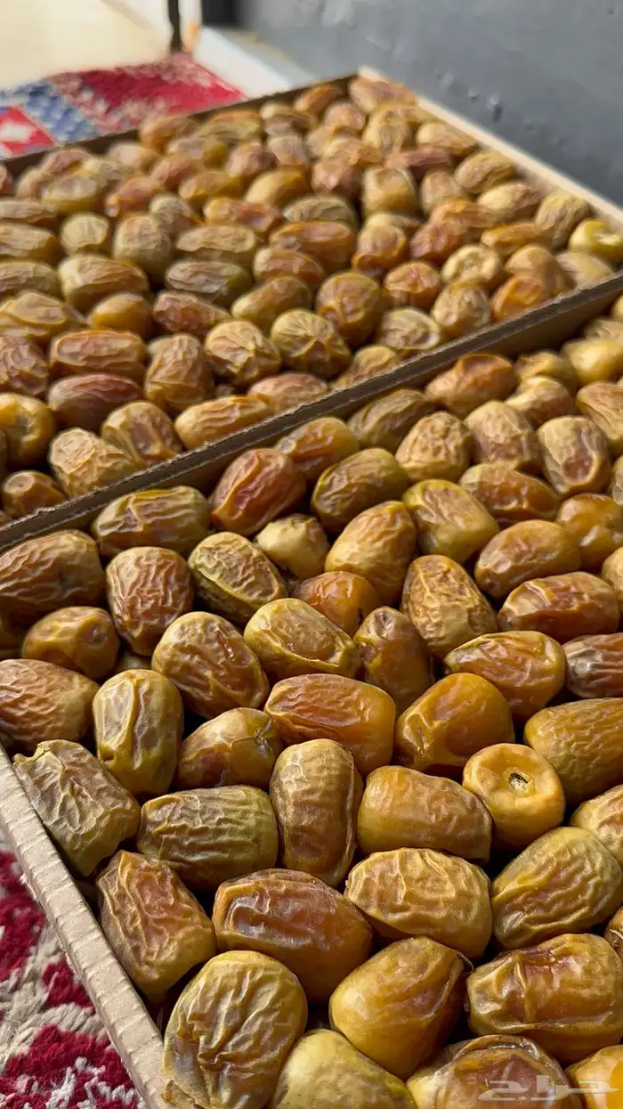 تمر سكري مفتل بسعر رمزي كمية محدودة 0