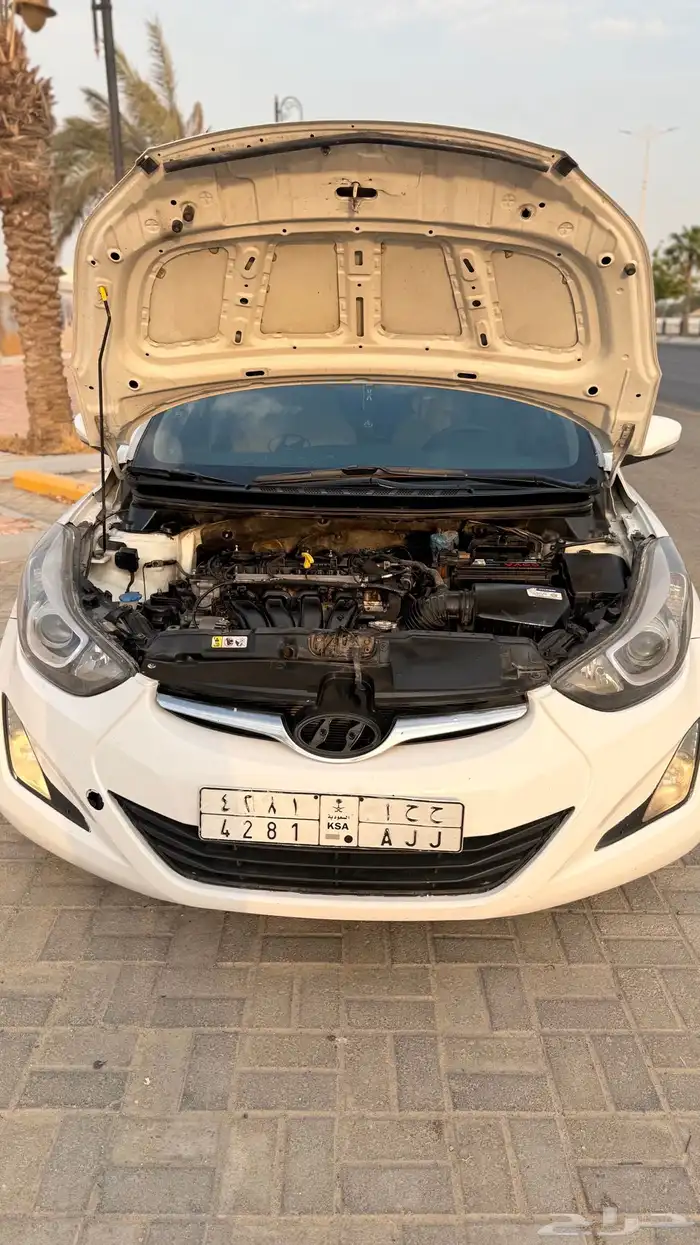 النترا2014فل كامل 18