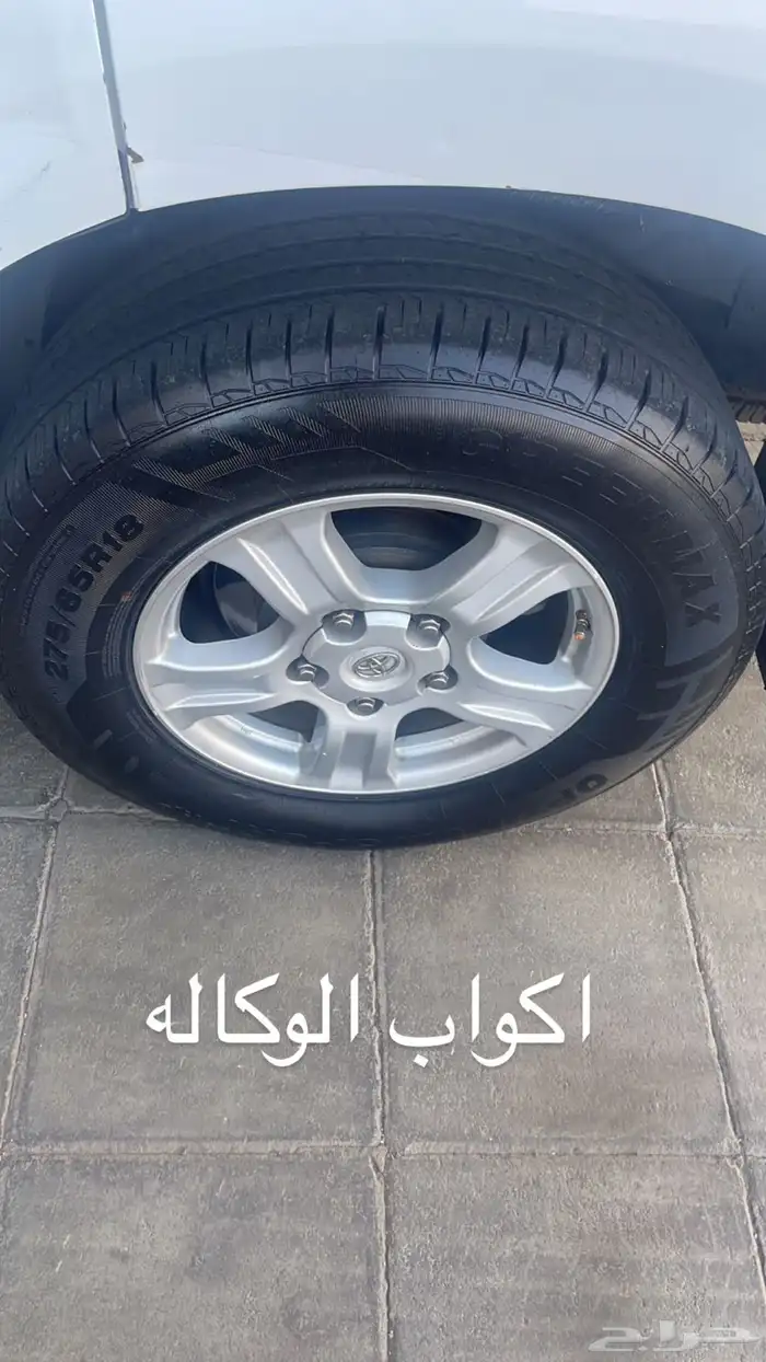 تجاري غطى طاسه جنوط اكواب سكويا سيكويا ساكويا 3