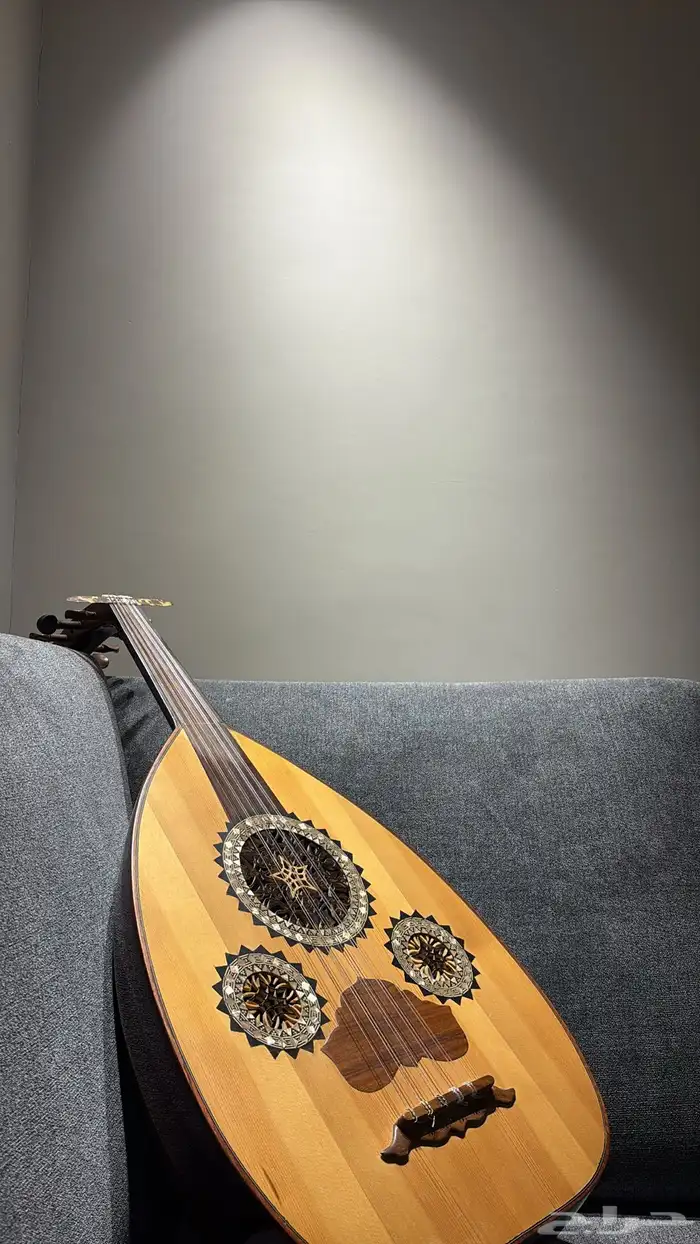 عود للبيع 1