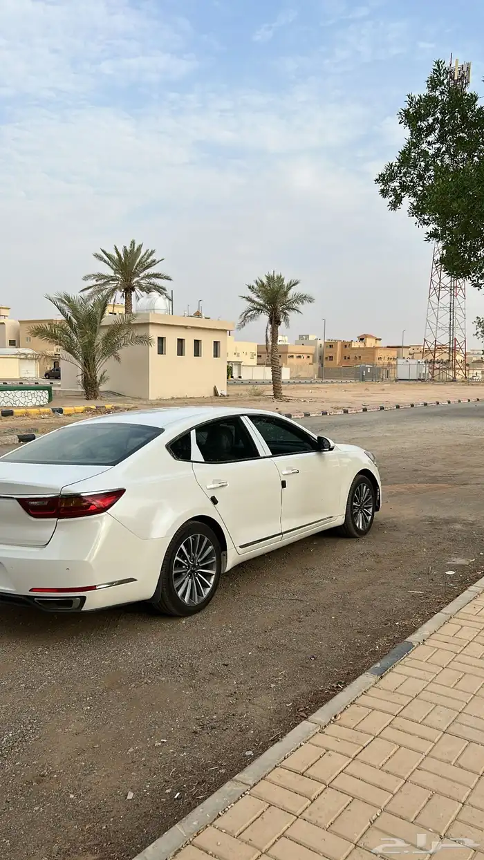 كادينزا 2017 للبيع 5