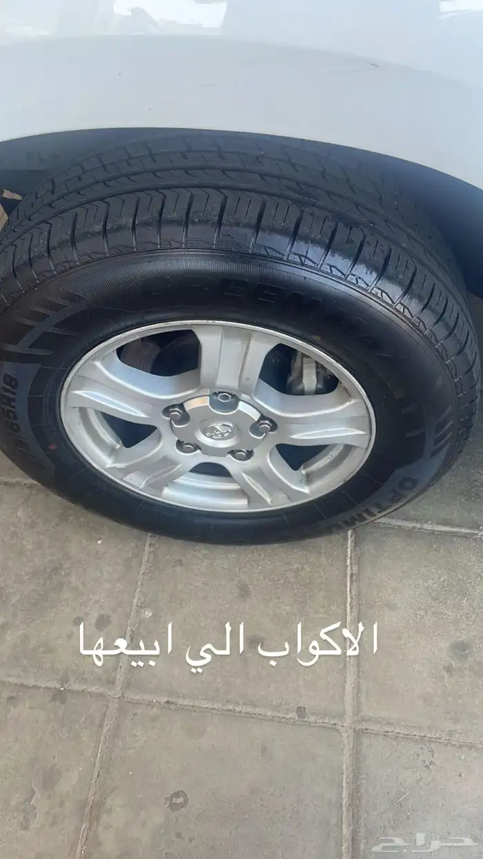 تجاري غطى طاسه جنوط اكواب سكويا سيكويا ساكويا 2