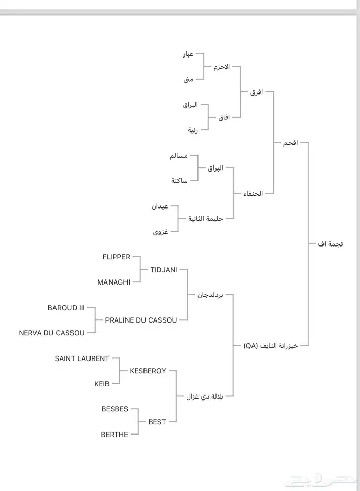 مهره واهو 4