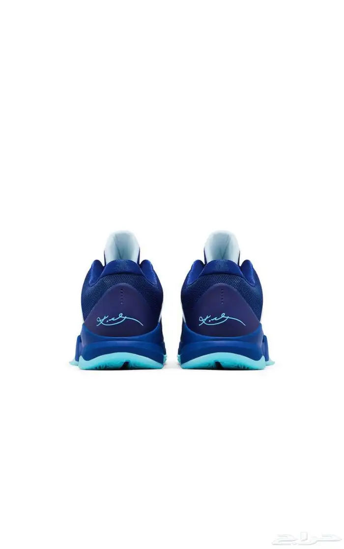kobe 5  X-Ray 2