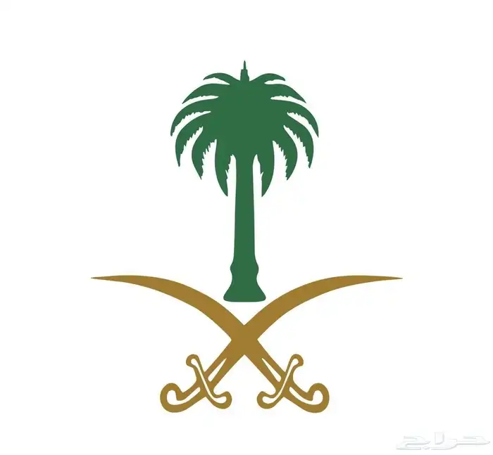 مطلوب شاحن هونر W66 0