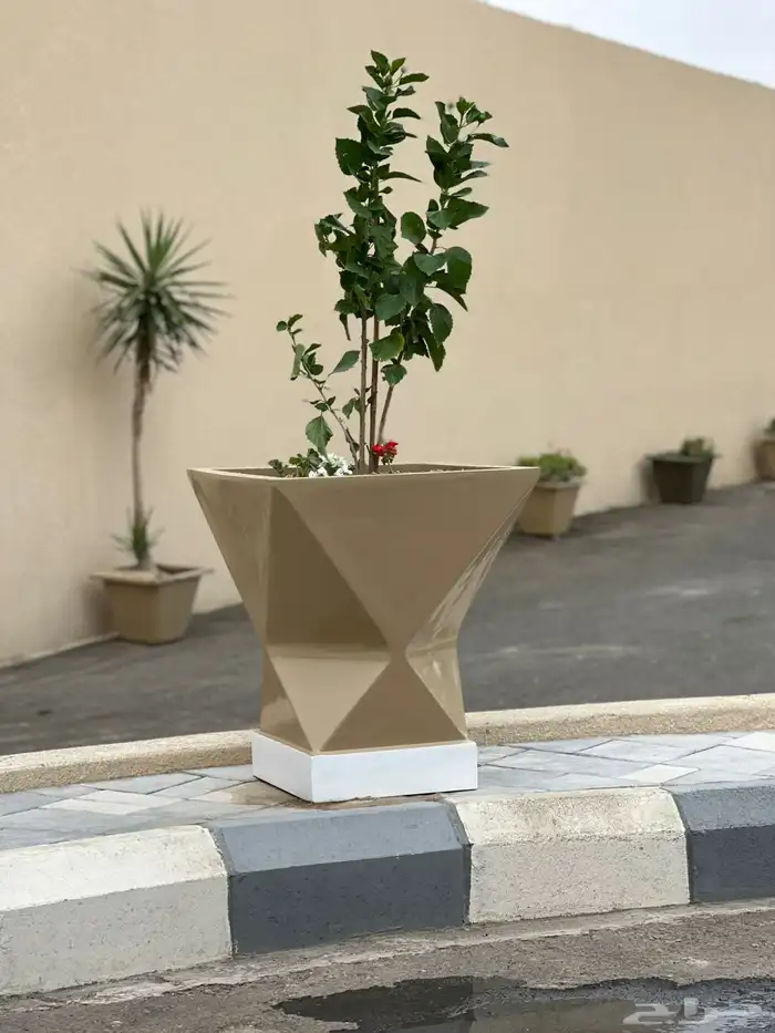 احواض زراعيه 1