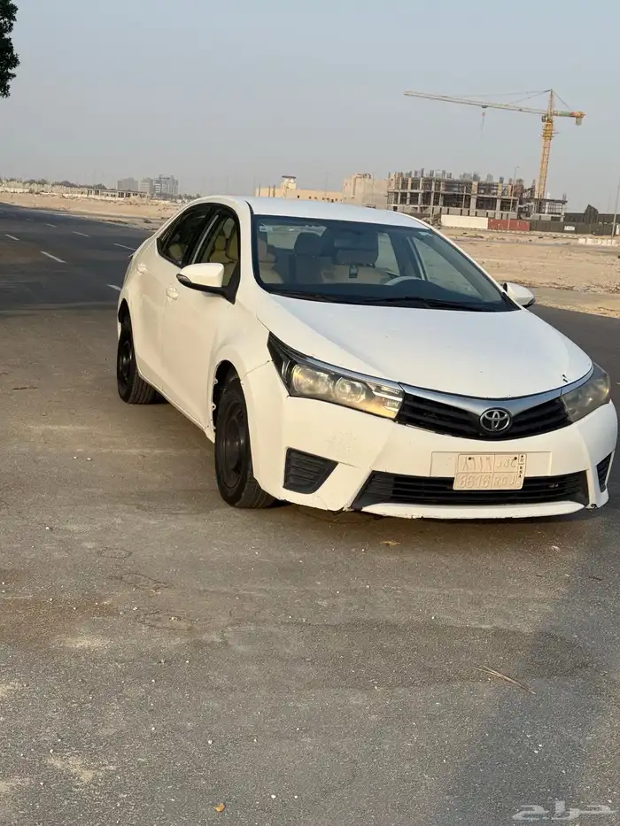 كورلاء مديل 2015 1