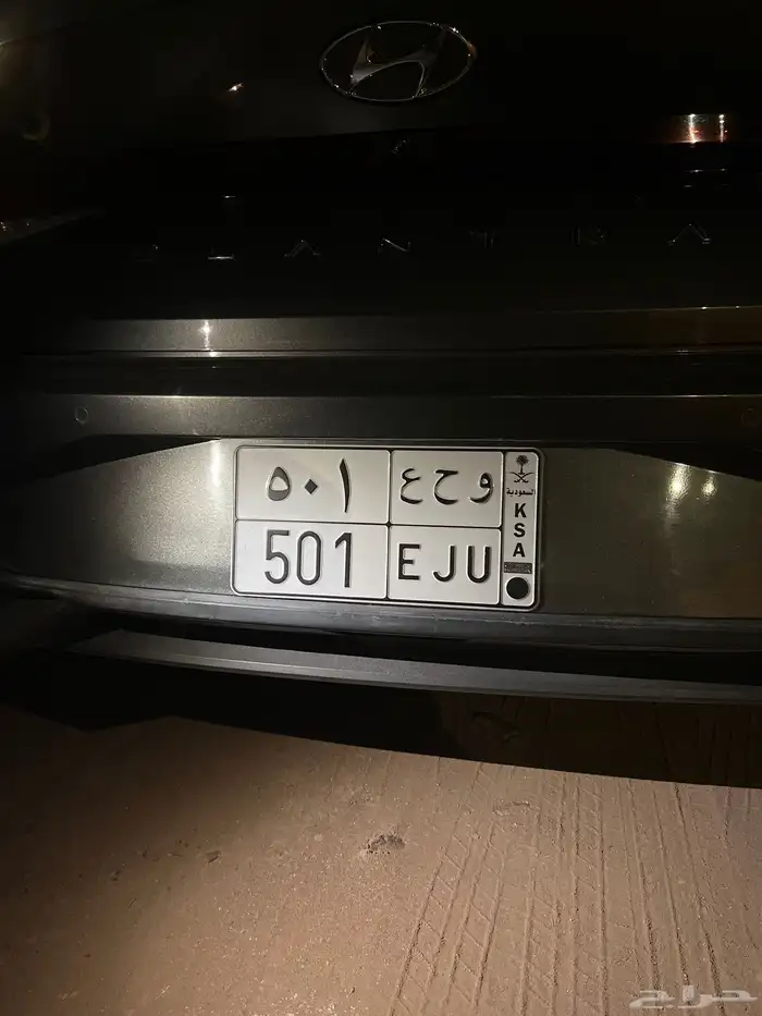 لوحة ترمز لقبيلة 501 0