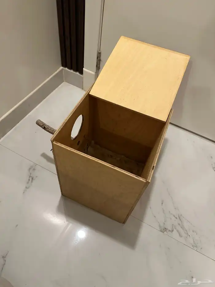 عش طيور 0
