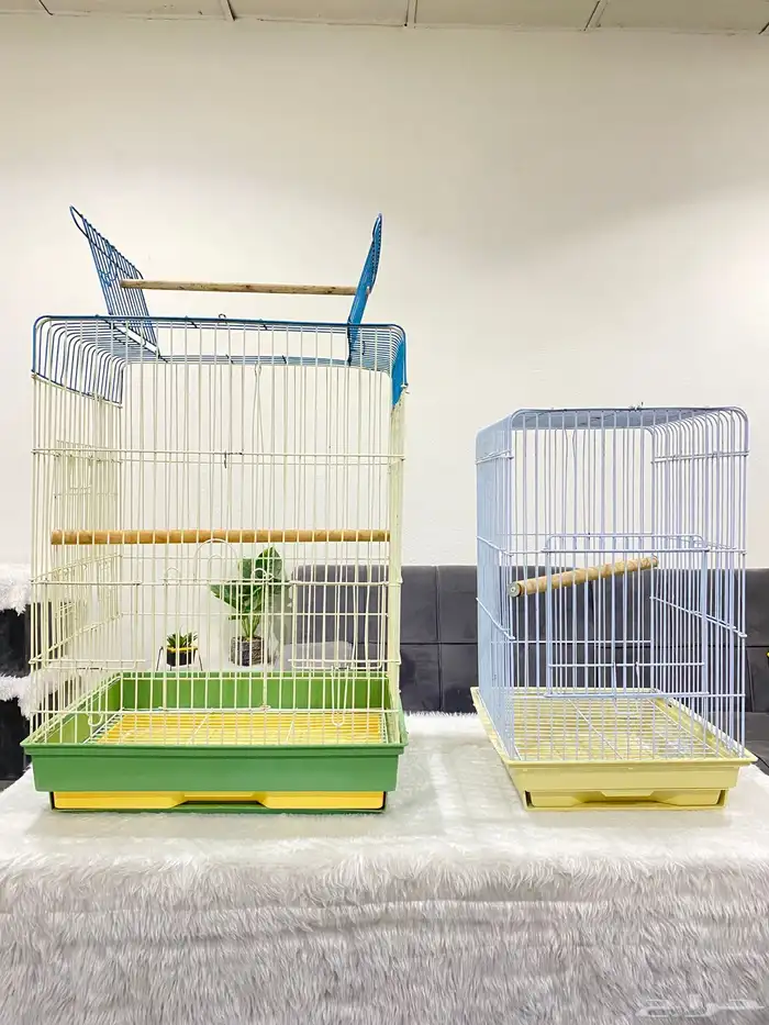 قفصين طيور القنفذه 0