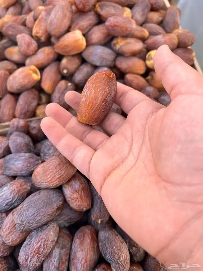 تمور القصيم فاخره 7