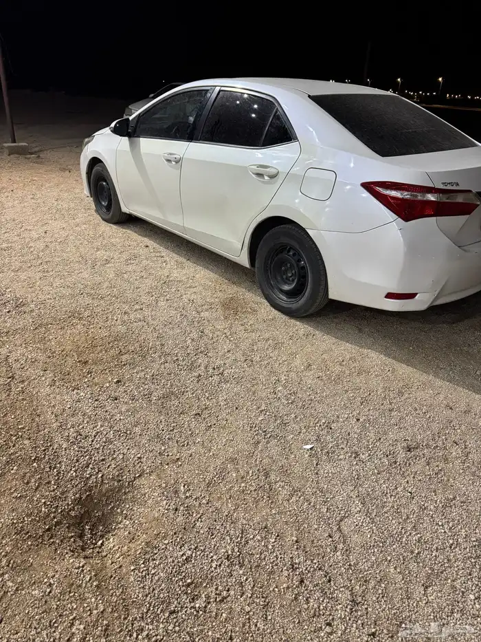 كورلا 6