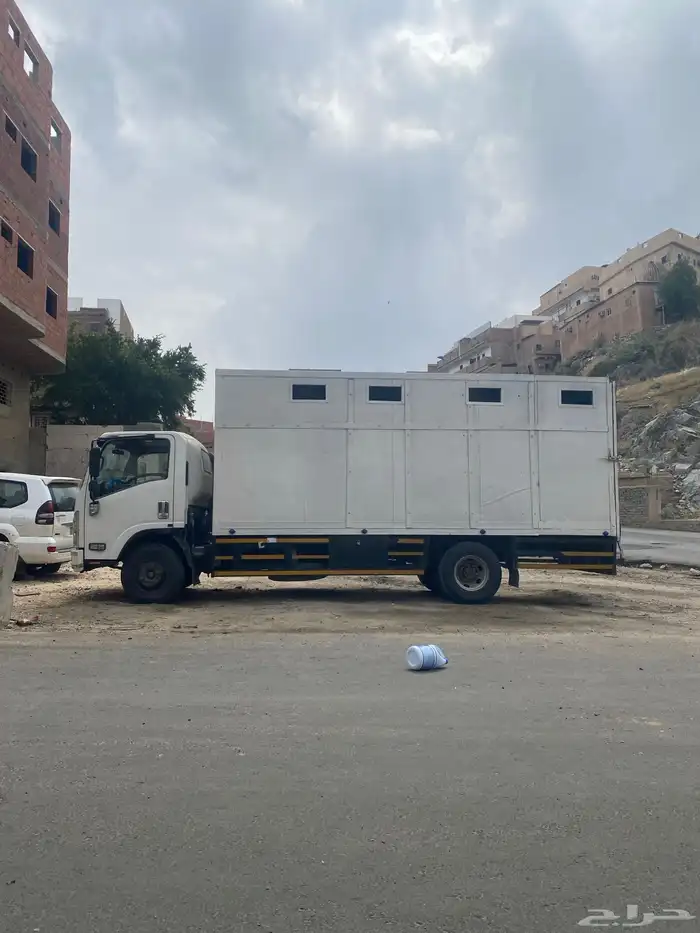 دينه نقل خيل من مكه الى جده إلى أنحاء المملكة 1